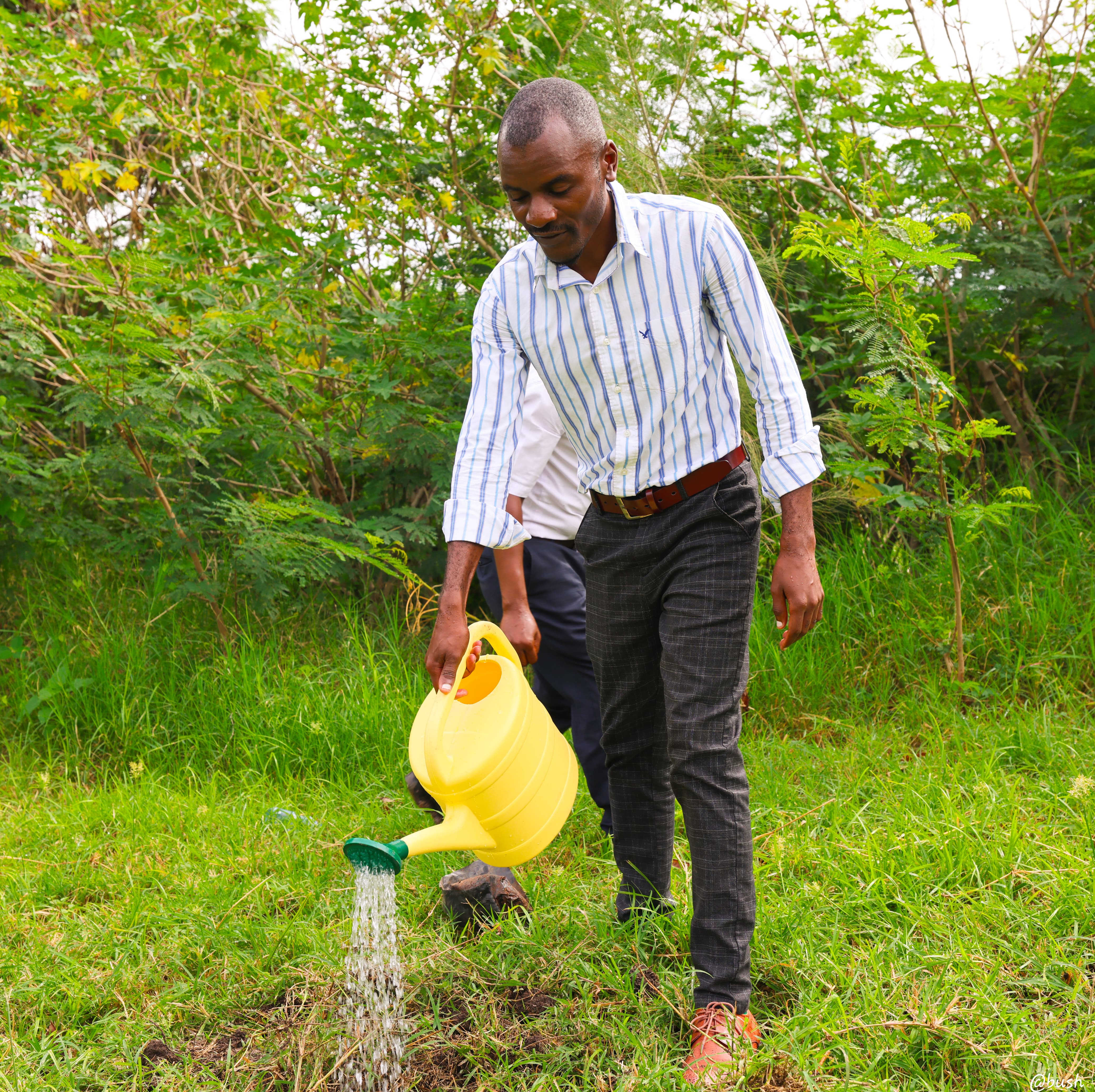 TREE PLANTING ACTIVITY IN COMMEMORATION OF WORLD ENVIRONMENT DAY 5TH JUNE 2025 - Photo 3