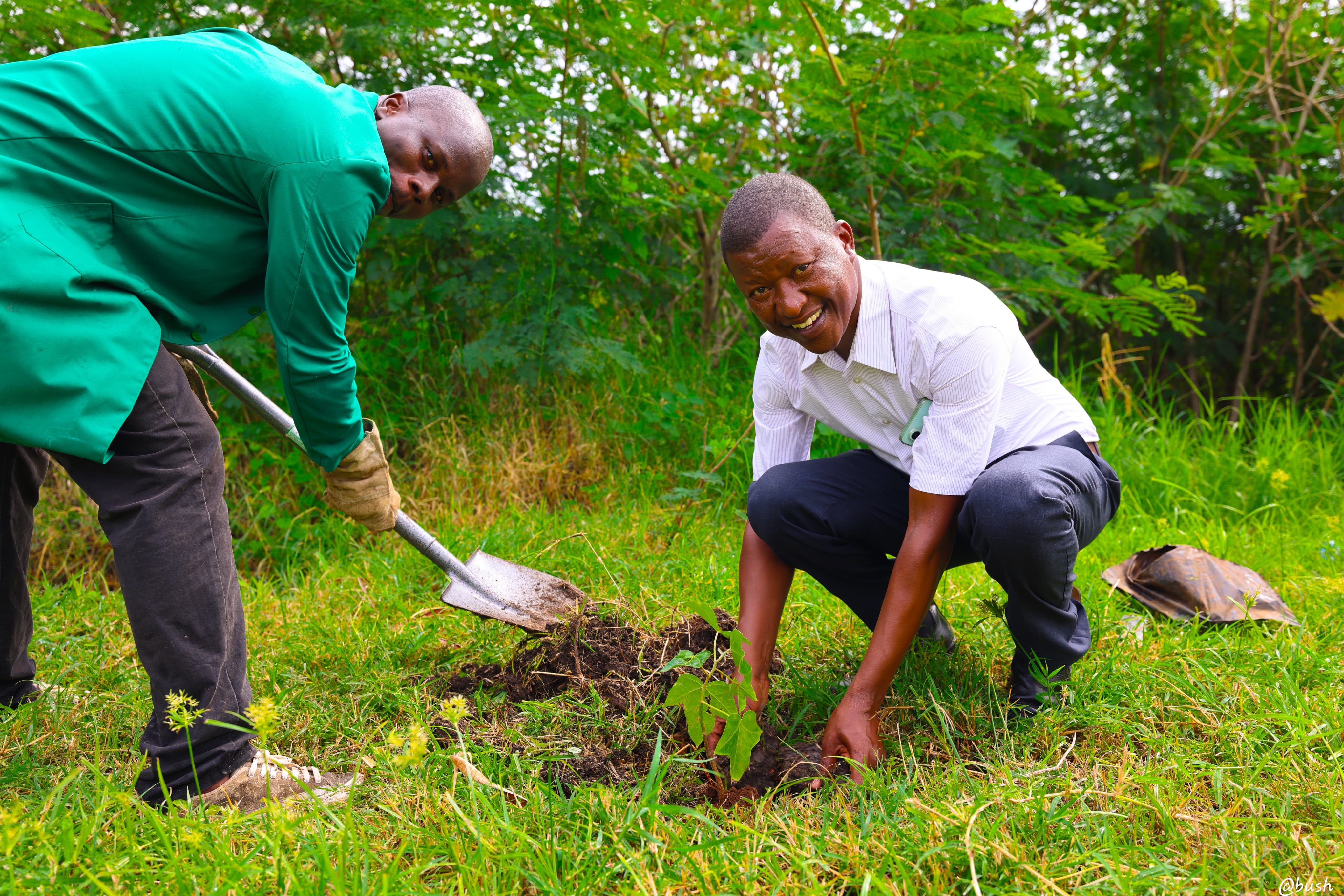 TREE PLANTING ACTIVITY IN COMMEMORATION OF WORLD ENVIRONMENT DAY 5TH JUNE 2025 - Photo 4