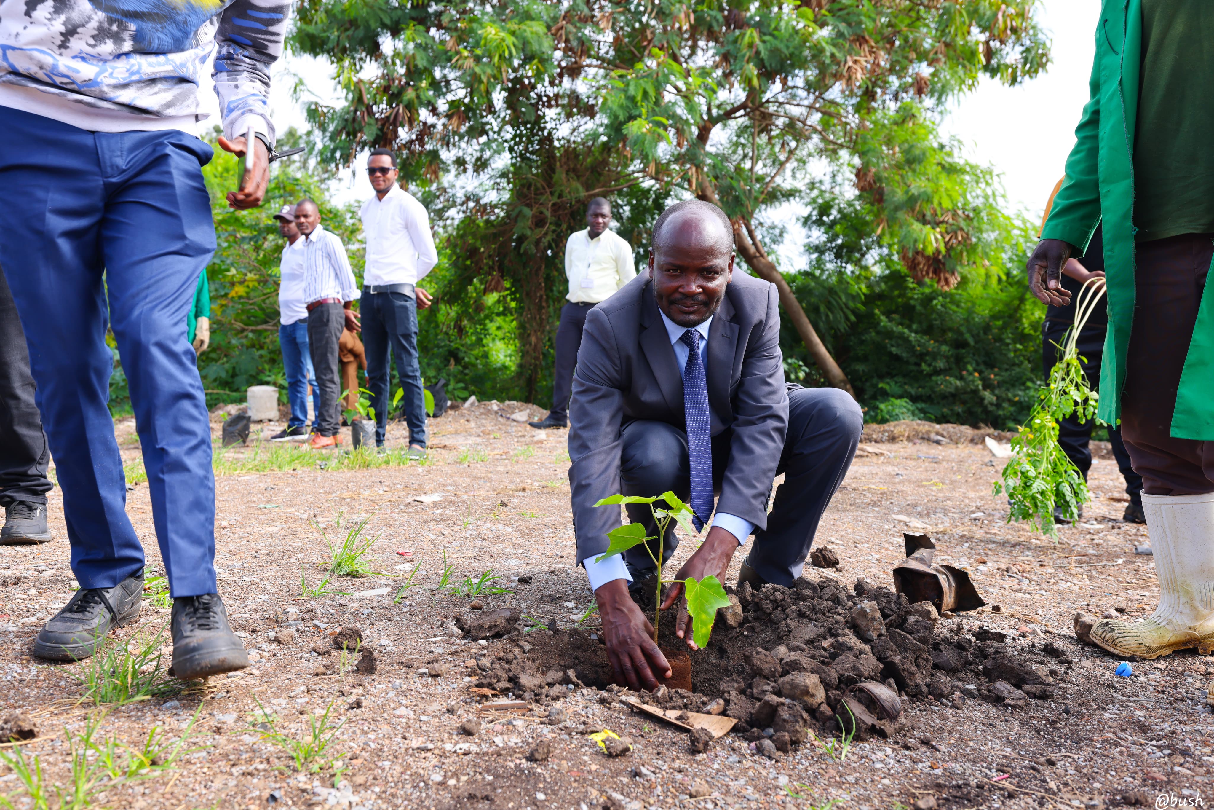 TREE PLANTING ACTIVITY IN COMMEMORATION OF WORLD ENVIRONMENT DAY 5TH JUNE 2025 - Photo 9