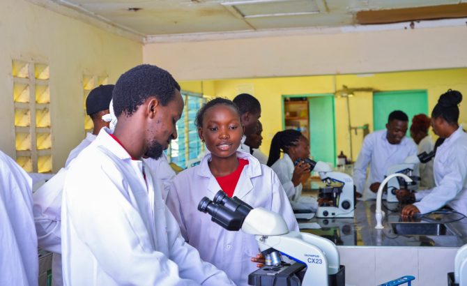 Undergraduate Studies