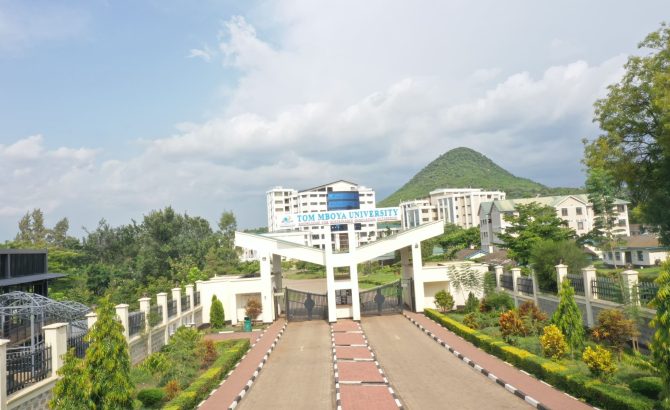 Undergraduate Studies